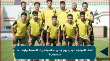 إلغاء المباراة الودية بين وادي دجلة وكهرباء الإسماعيلية.. ما الأسباب؟